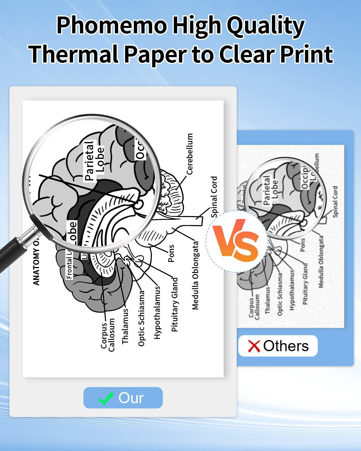 Phomemo 1/2 Rolls Thermal Paper for M08F Portable Printer