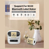 Phomemo 50x50mm Gold Glitter Thermal Label For M110/M120/M150/M200/M220/M221 - Phomemo