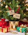 Phomemo Thermal Labels Christmas Release For M110/M120/M150/M200/M220/M221 - Phomemo