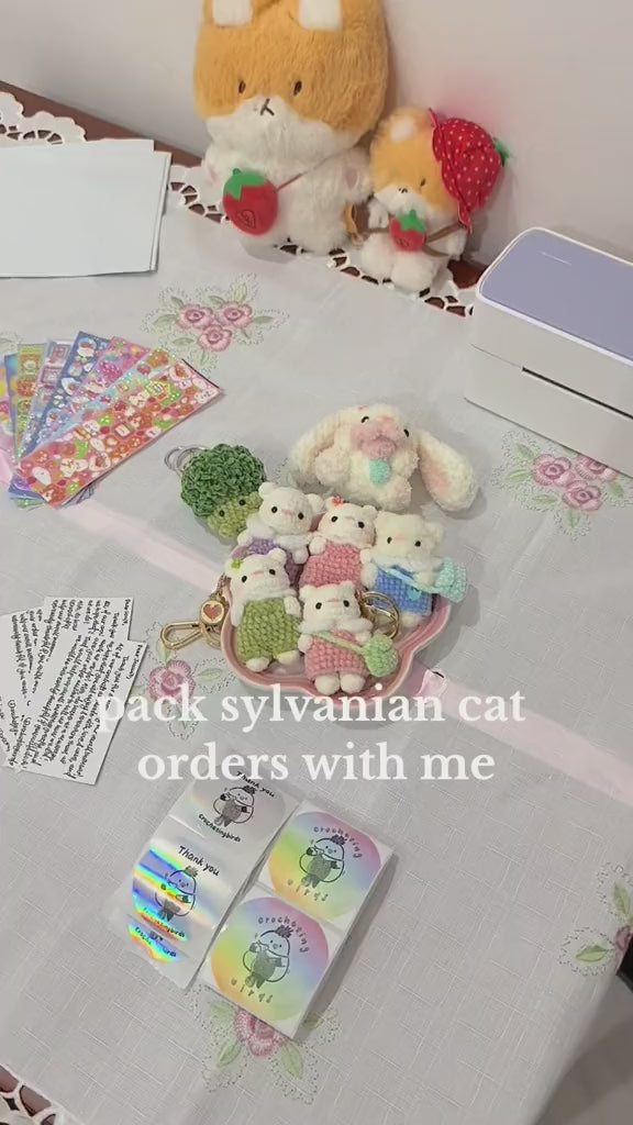 Video Cover